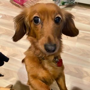 Check out my mom’s closet